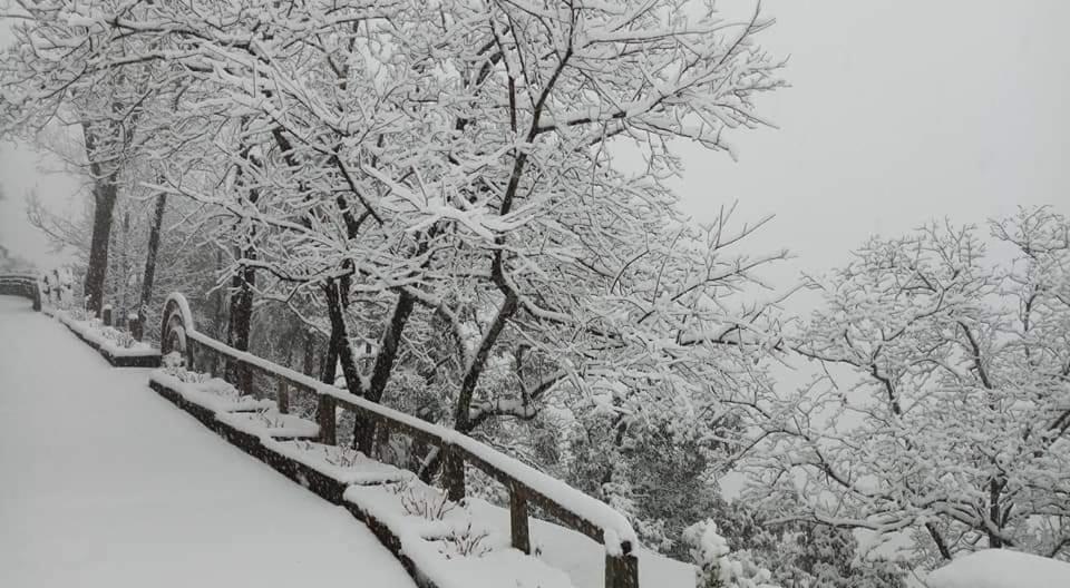 Hotel Devlok Primal Mussoorie Dış mekan fotoğraf